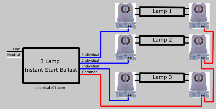 3 Lamp Parallel Ballast Lampholder Wiring Diagram
